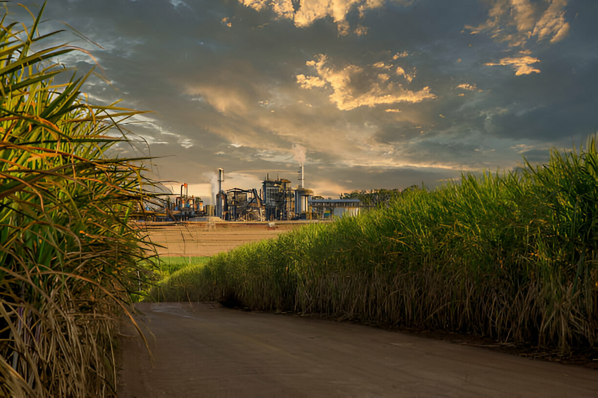Sugar Companies in Brazil
