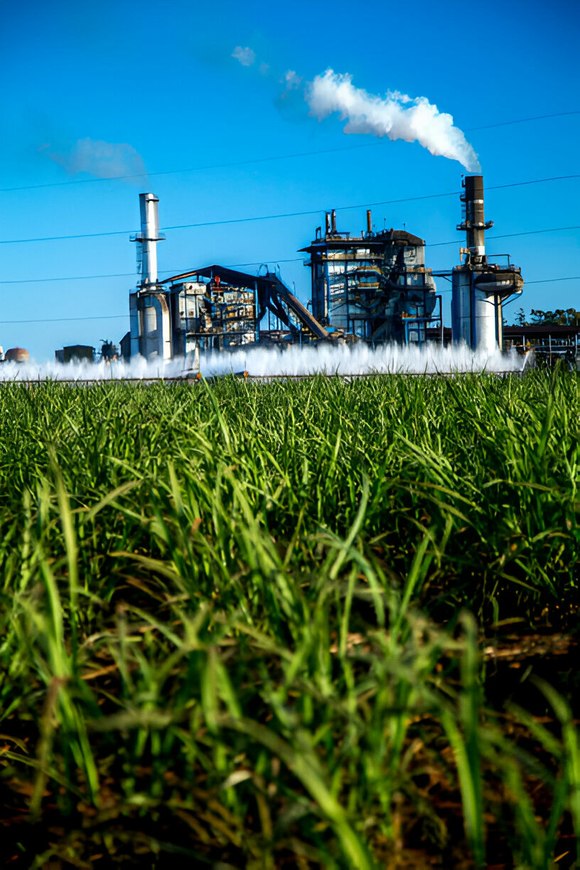 sugar manufacturers in brazil