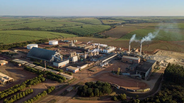 Brazil Sugar Suppliers