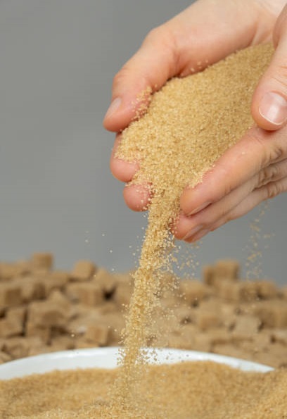 Brazil Sugar wholesale suppliers